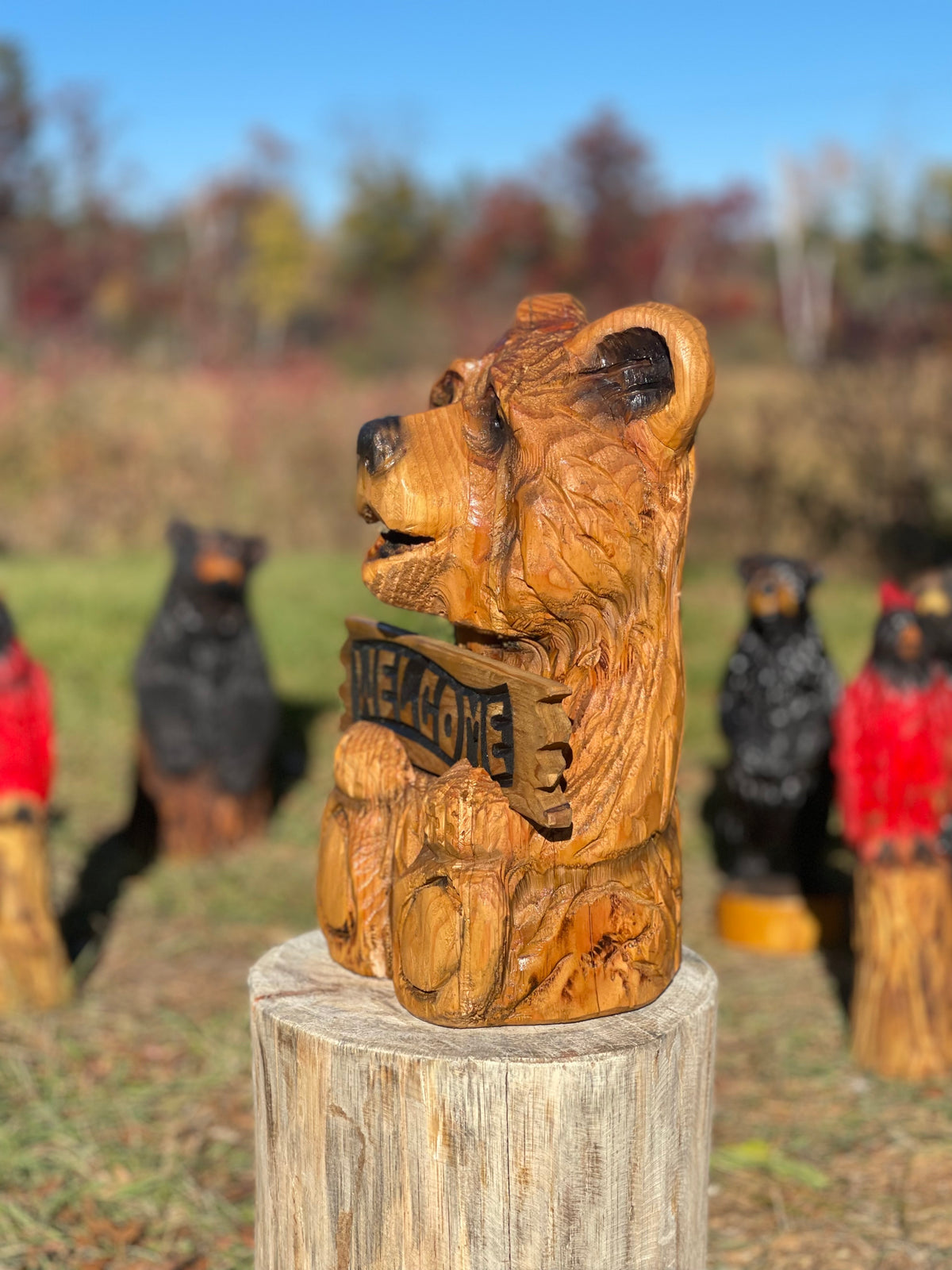 Large sitting welcome bear chainsaw carving